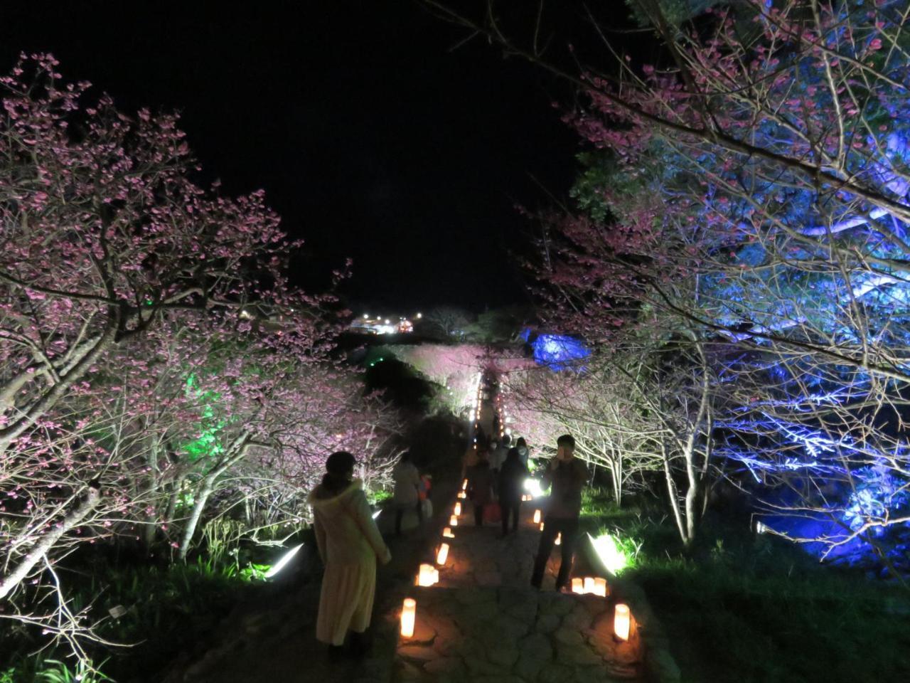 Okinawa Freedom Villa Nakijin Eksteriør billede