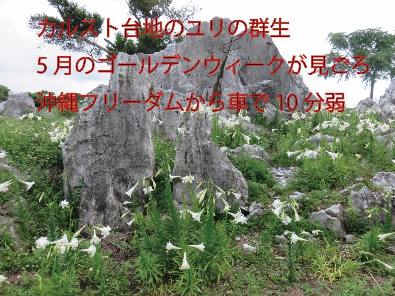 Okinawa Freedom Villa Nakijin Eksteriør billede