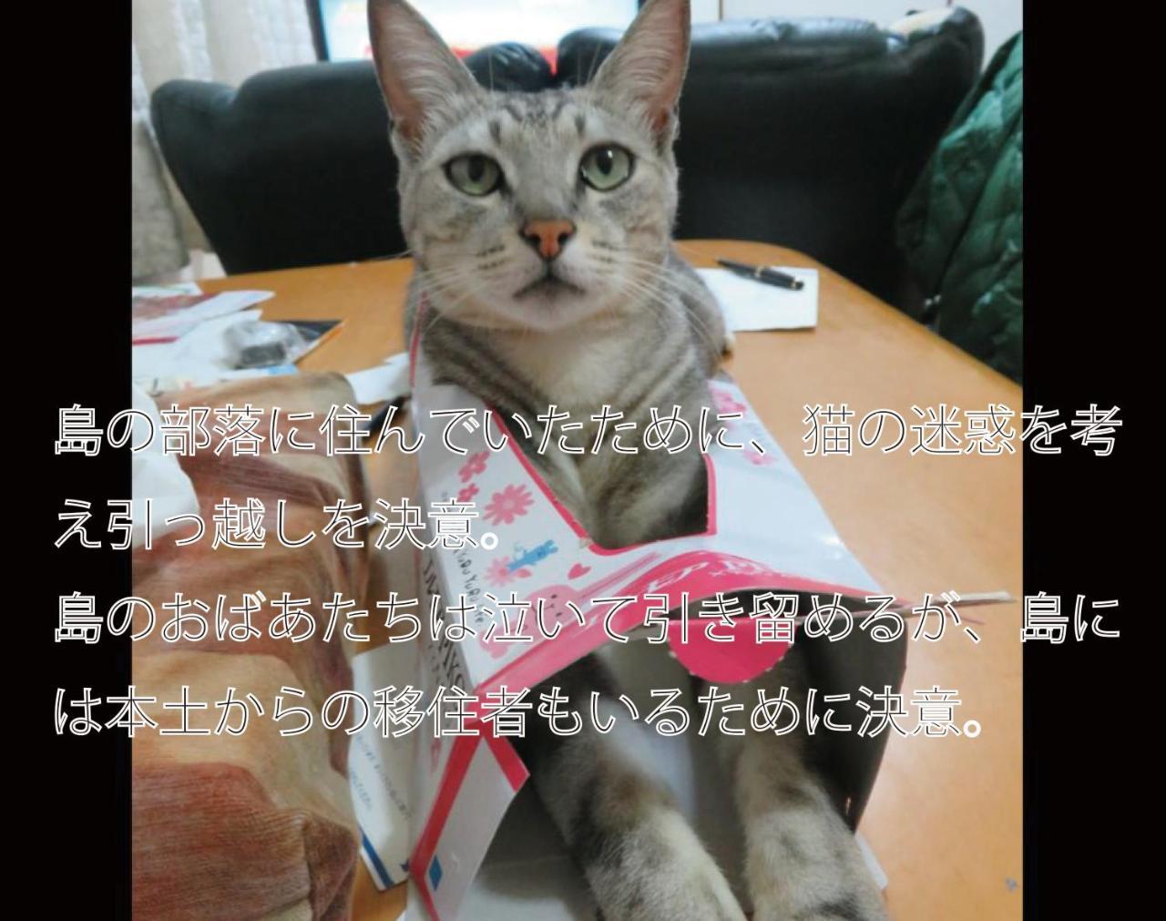 Okinawa Freedom Villa Nakijin Eksteriør billede