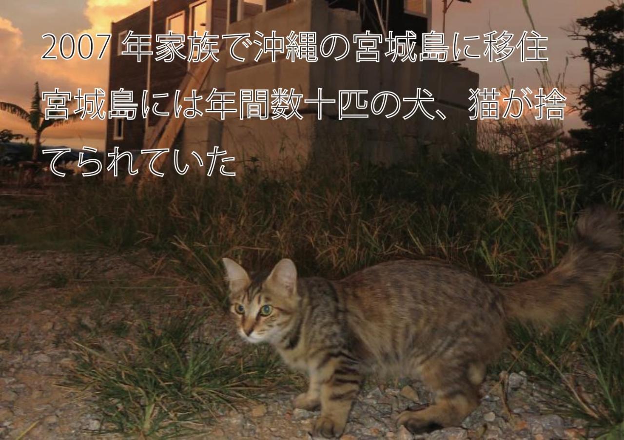 Okinawa Freedom Villa Nakijin Eksteriør billede
